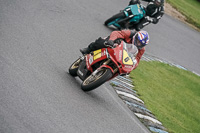 enduro-digital-images;event-digital-images;eventdigitalimages;lydden-hill;lydden-no-limits-trackday;lydden-photographs;lydden-trackday-photographs;no-limits-trackdays;peter-wileman-photography;racing-digital-images;trackday-digital-images;trackday-photos